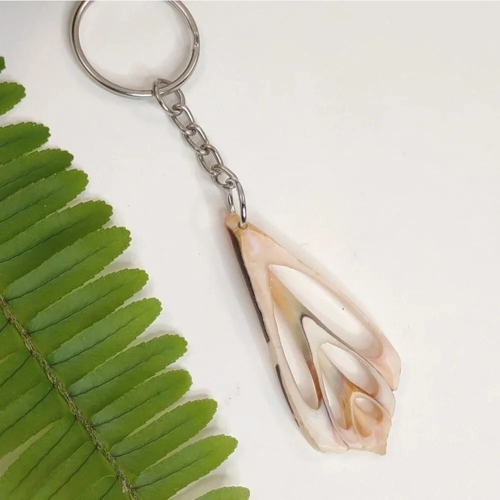 Seashell Keyring Slice Conch Seashell Clearwater Beach, Florida